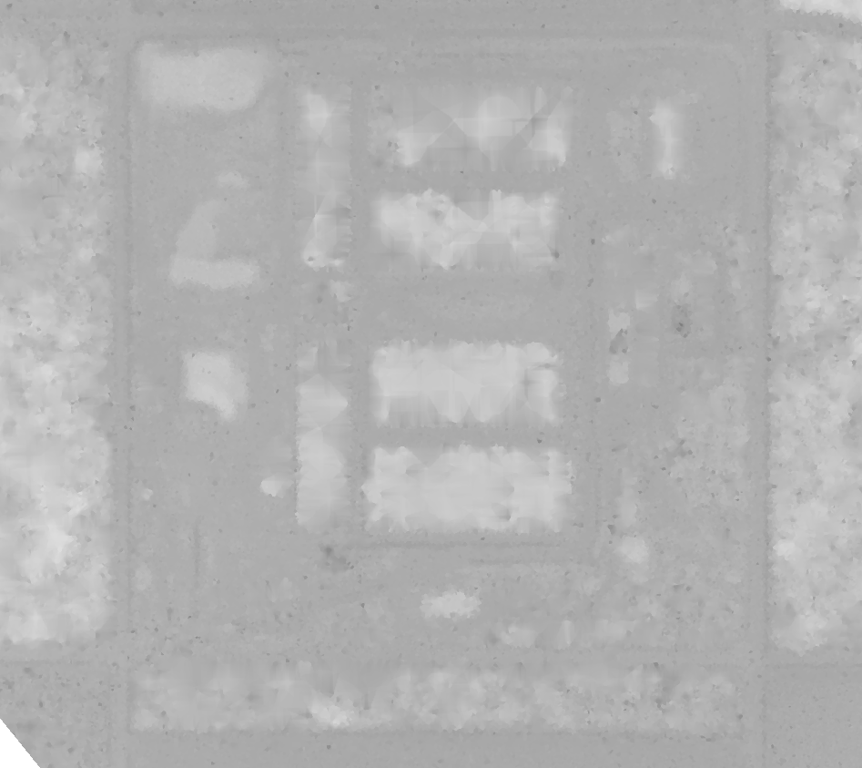 Fig4. 原始地貌之DTM成果