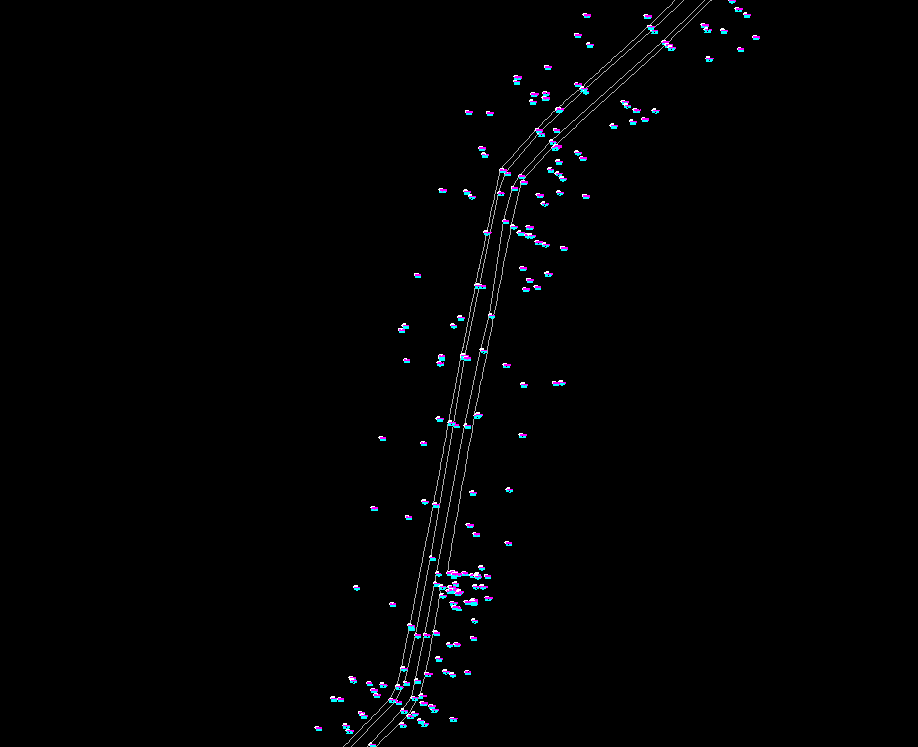 Fig1. 原測量成果圖